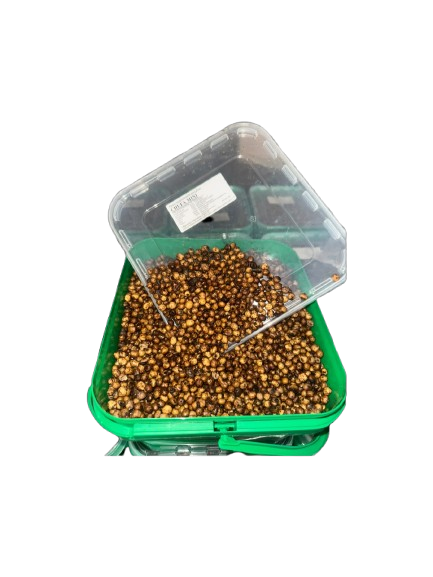 Chufas Quality Seeds Mini 5 kg