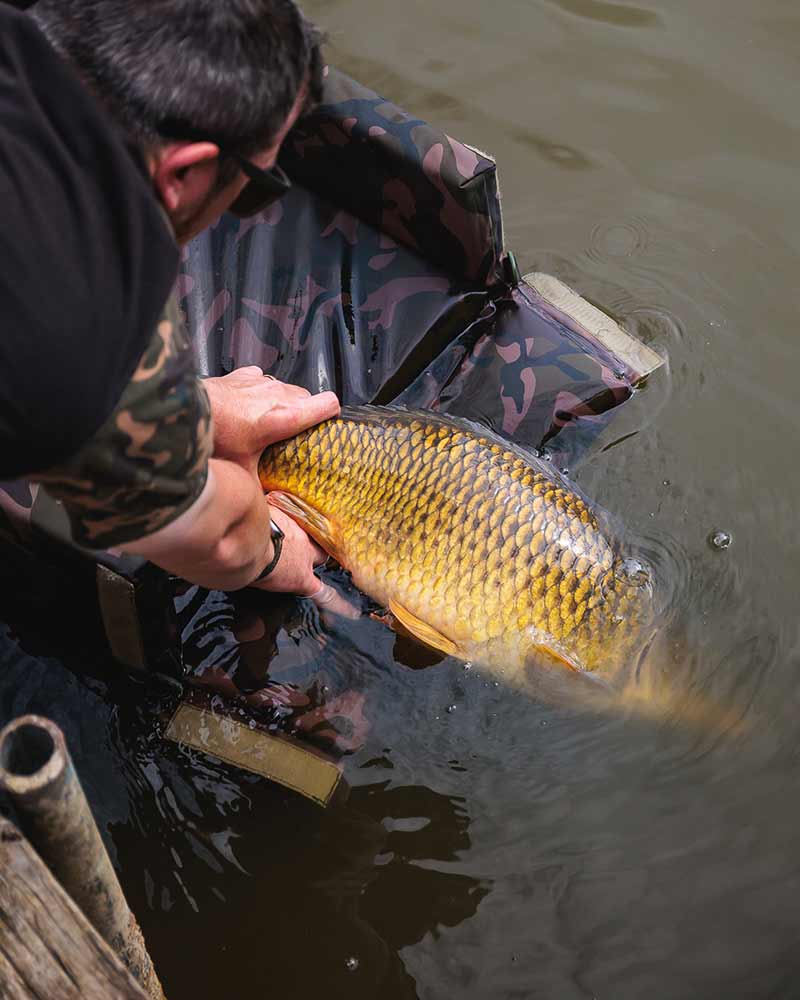 Moqueta Fox Camolite