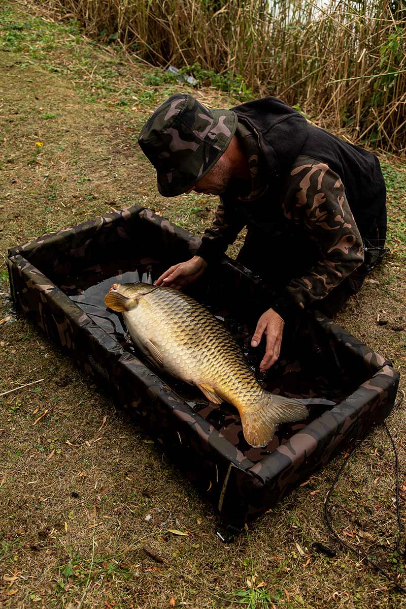 Moqueta Fox Camolite
