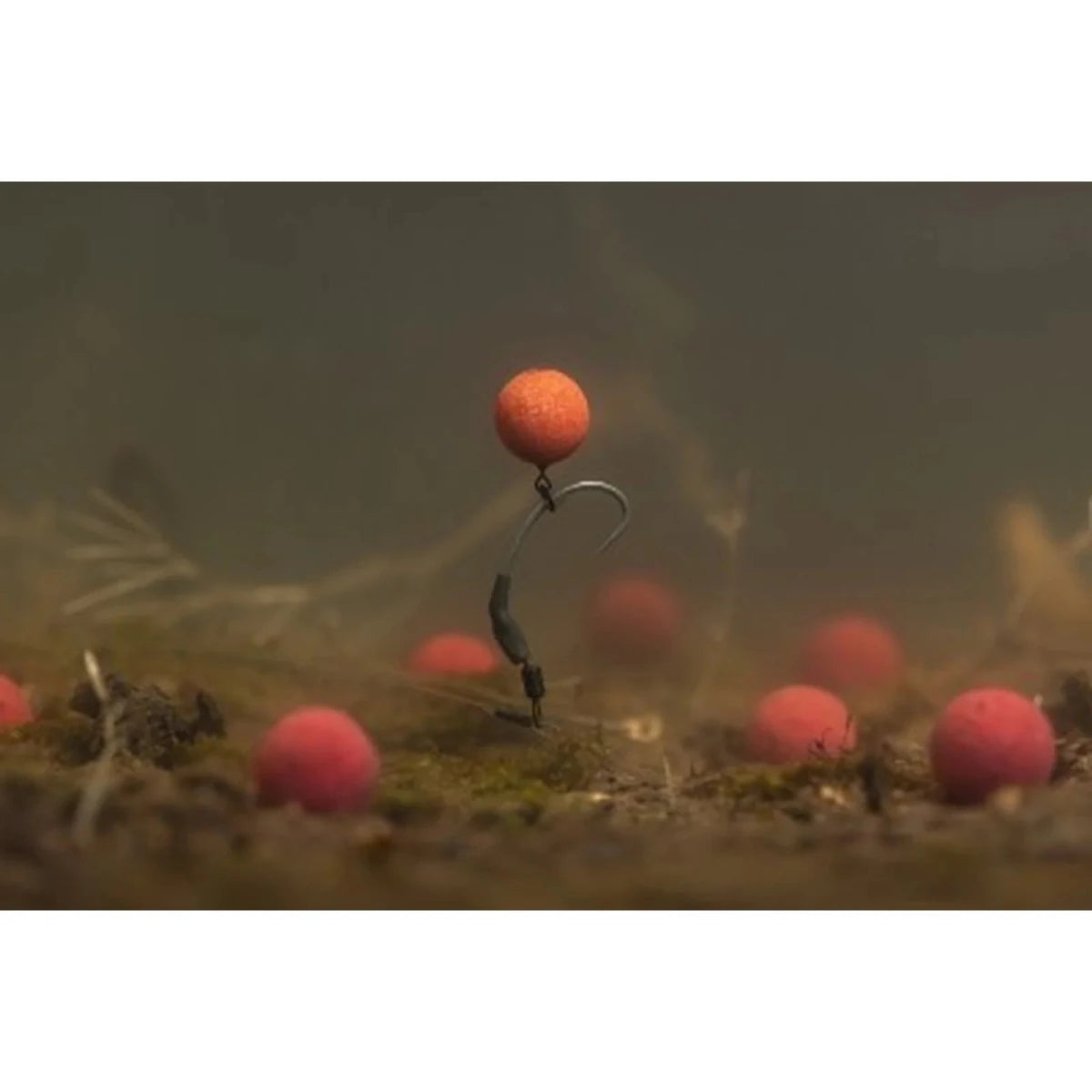 Boilies Pop Ups Korda Essential Cell 14mm - Tienda Carpfishing