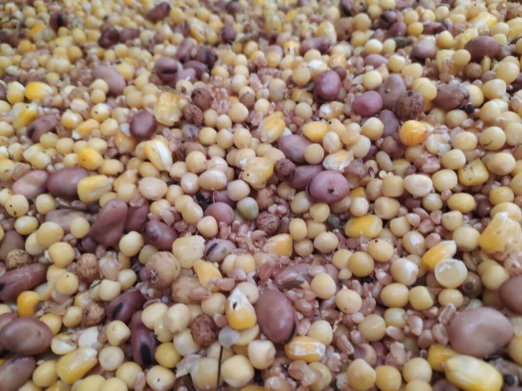 Mix Semilla Gruesa Superbaits 5 kg 1