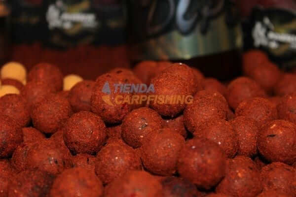 Boilies Pro Elite Baits Gold Robin Red 14 mm - Tienda Carpfishing
