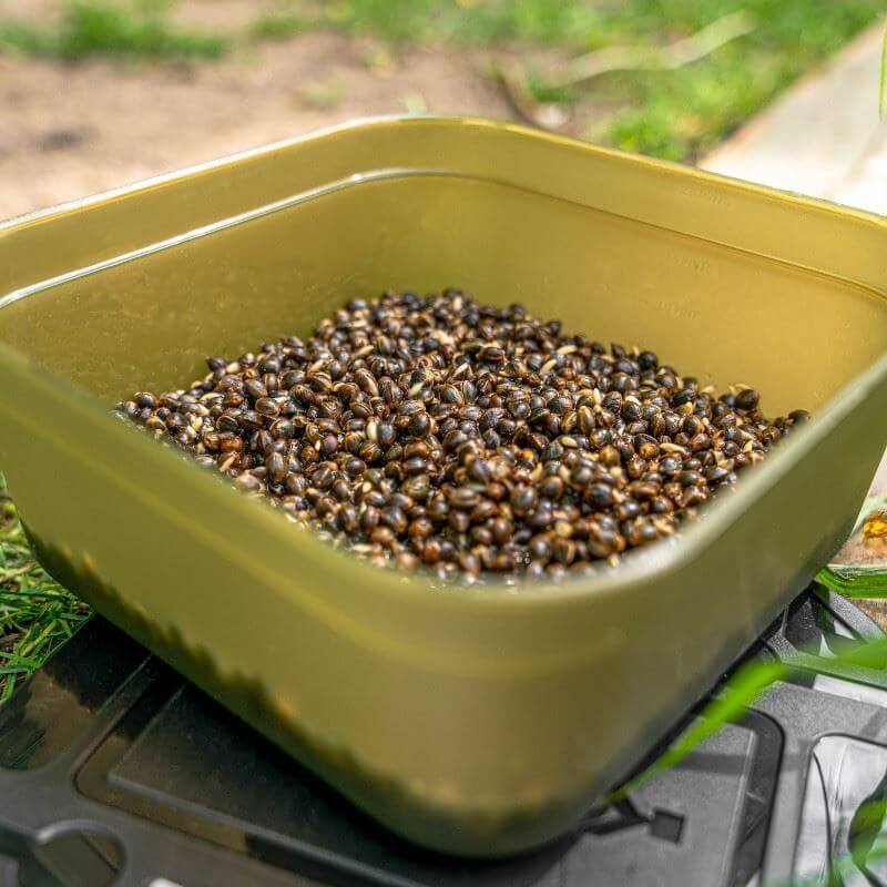 Caja Korum 1,2L - Tienda Carpfishing