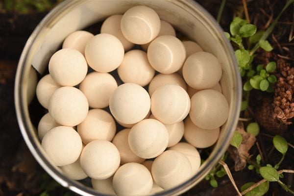 Pop Ups Ccmoore NS1+ Blancos 13 - 14 mm - Tienda Carpfishing