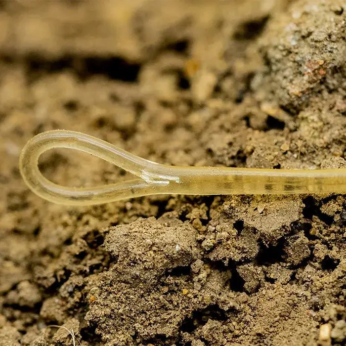 Puente OMC Blend Fused QC 40 Ib - Tienda Carpfishing