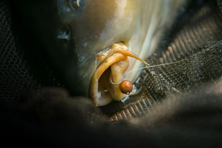 Anzuelos Nash Claw