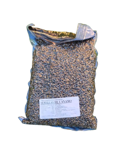 Cañamon Quality Seeds