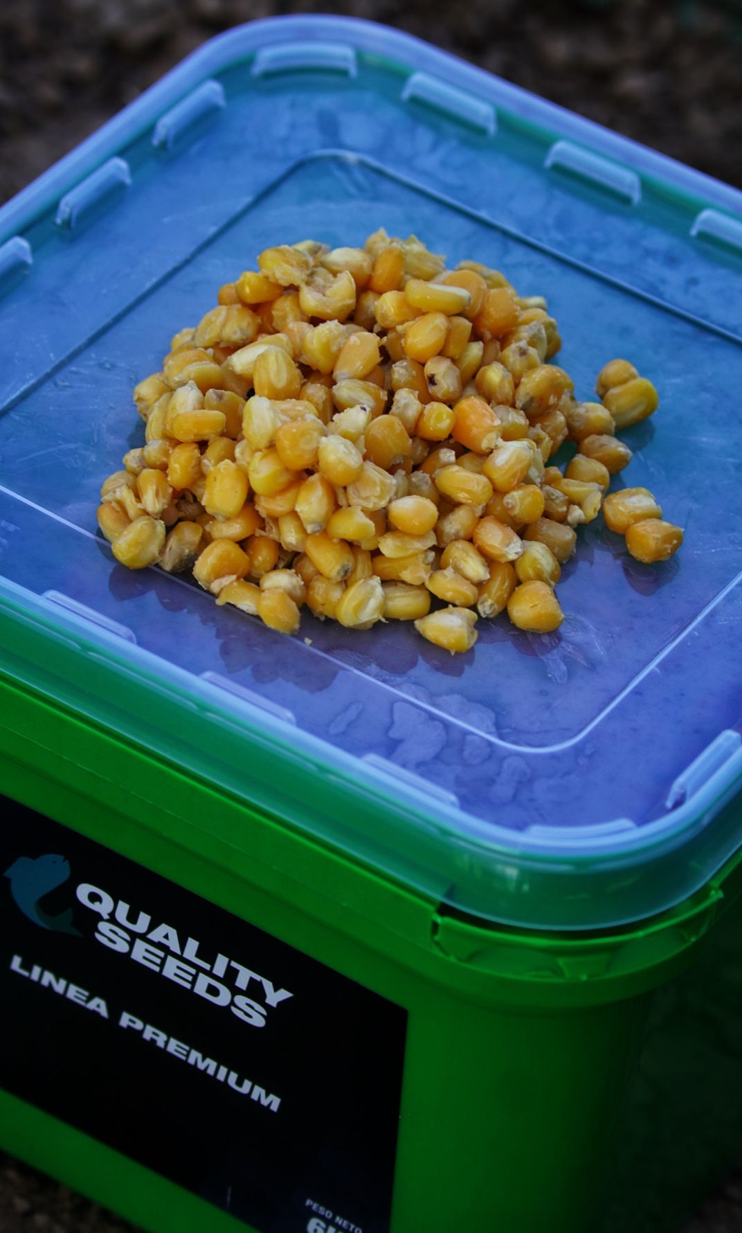 Cubo Maiz Quality Seeds Amarillo 6 kg