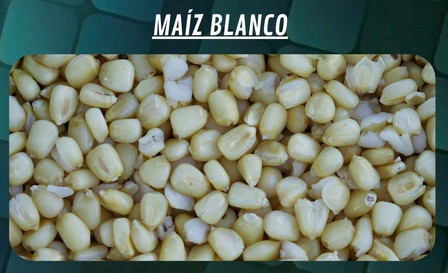Cubo Maiz Quality Seeds Blanco 6 kg