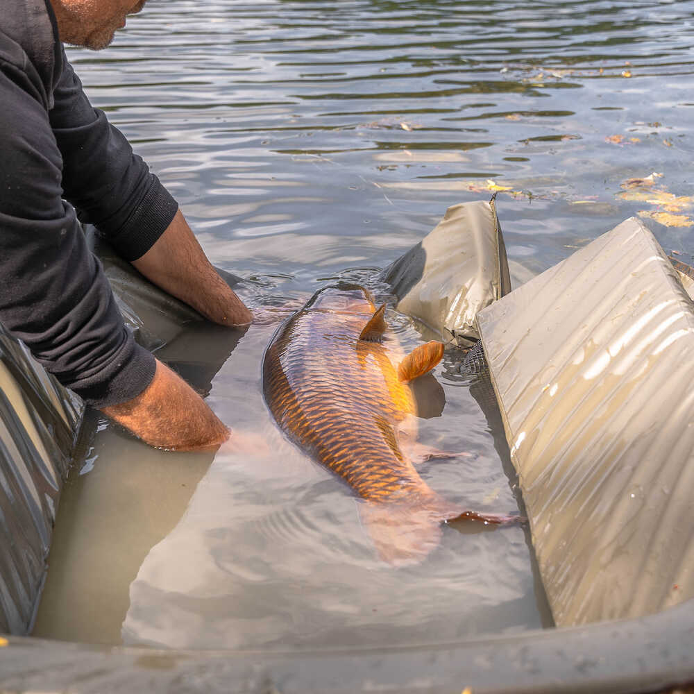 Cuna Avid Carp PRO-Tect Deluxe Cradle - Tienda Carpfishing
