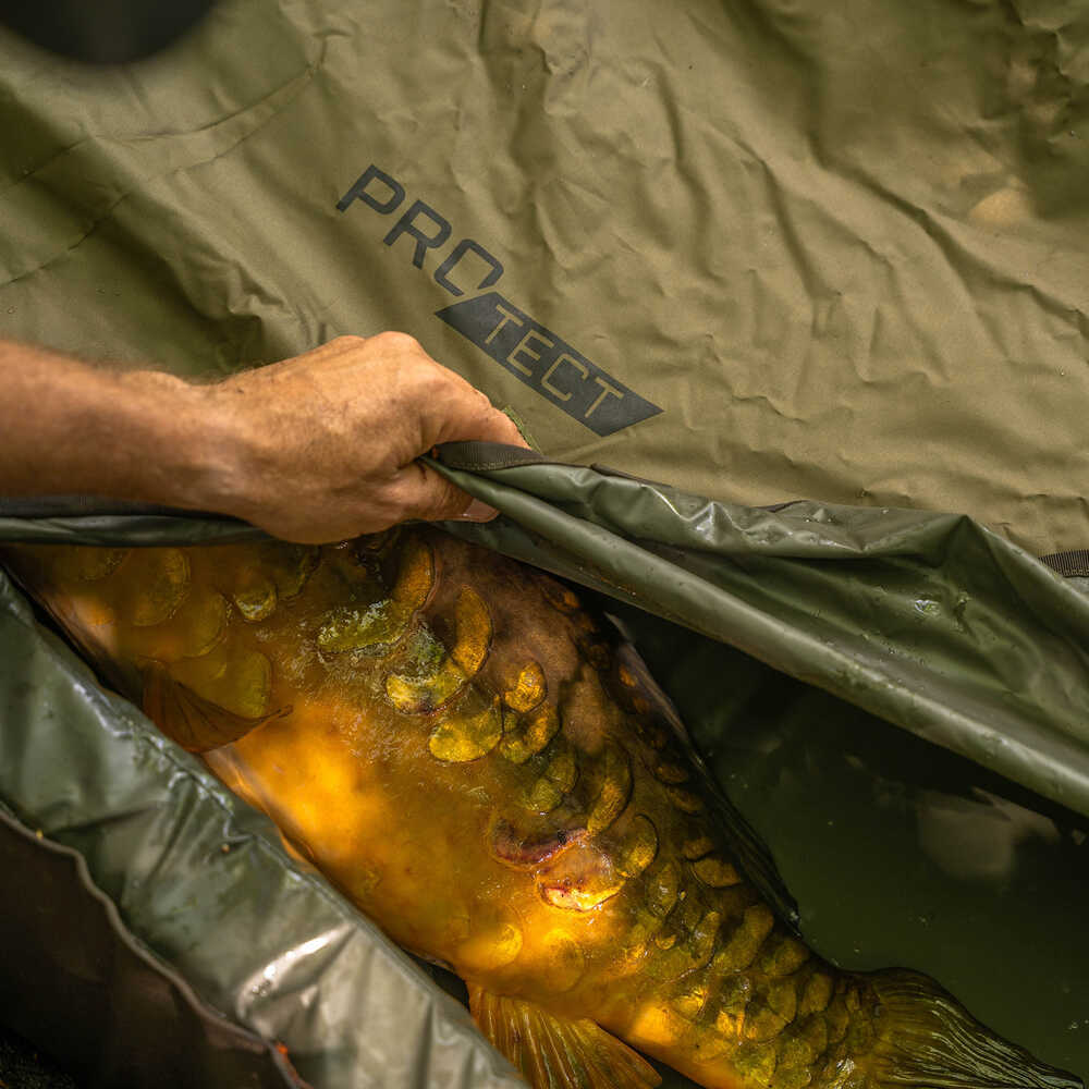 Cuna Avid Carp PRO-Tect Deluxe Cradle - Tienda Carpfishing