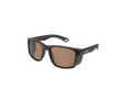 Gafas de sol polarizadas Avid Carp SeeThru Blinker - Tienda Carpfishing