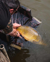 Moqueta Fox Camolite