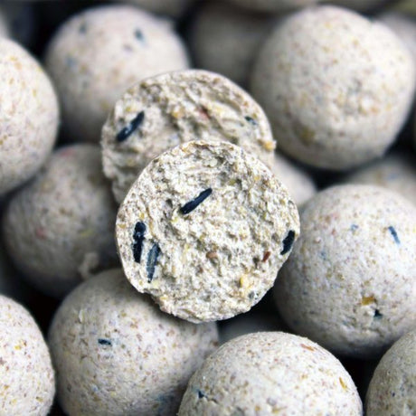 Session Pack Pro Elite Baits Piña Scopex White