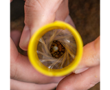 Sistema de fabricación de bolsas pva Avid Carp