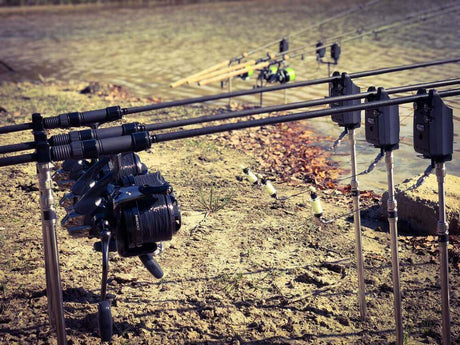 Hilo Katran Synapse Wild Carp 0,36 mm 800 m - Tienda Carpfishing