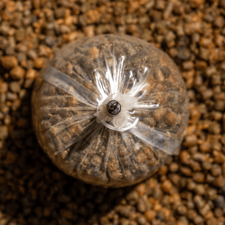 QC Swivel Bag Stems Avid Carp Outline FleckTone S - Tienda Carpfishing