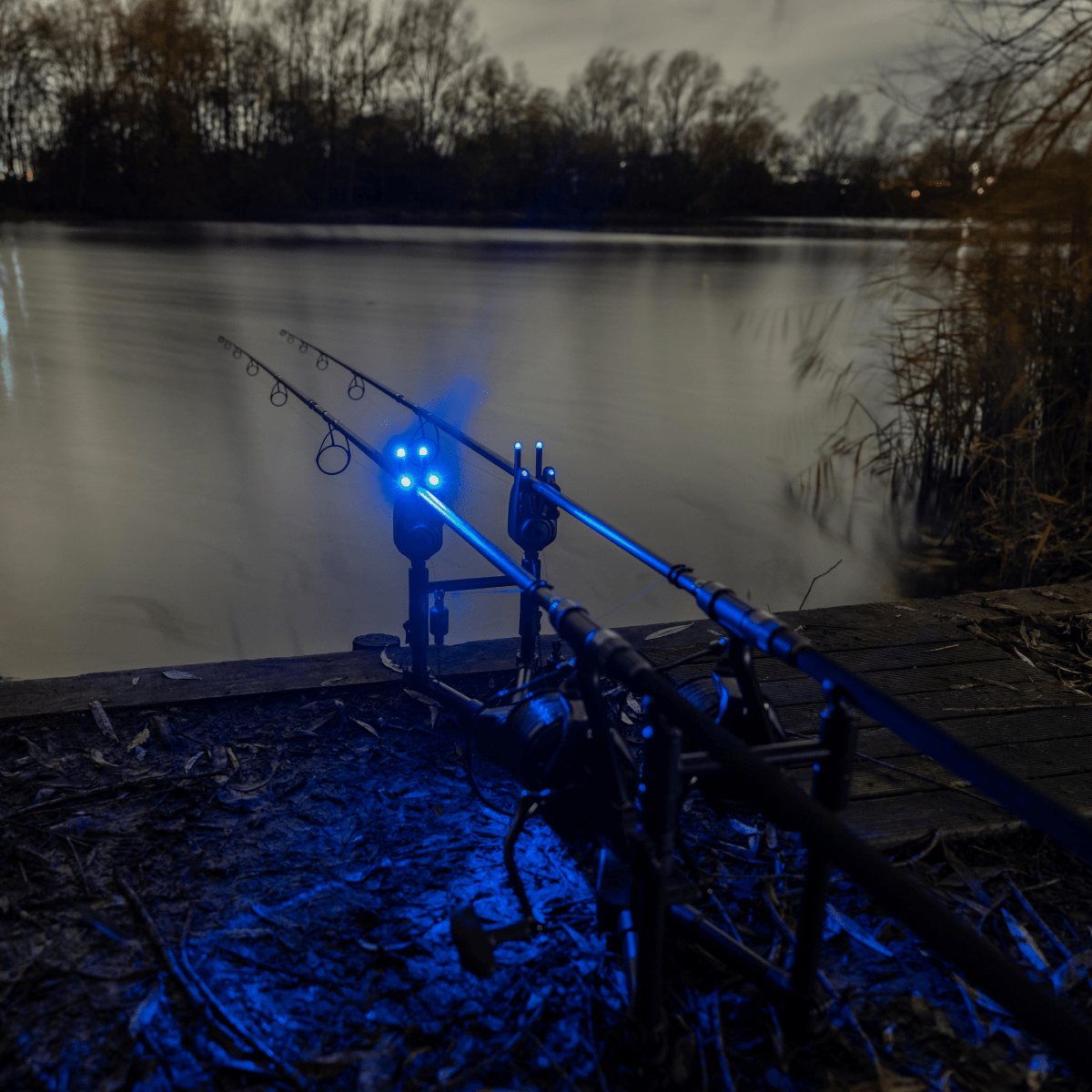 Snag Ears Avid Carp VTX+ Illuminated Snag Ears - Tienda Carpfishing