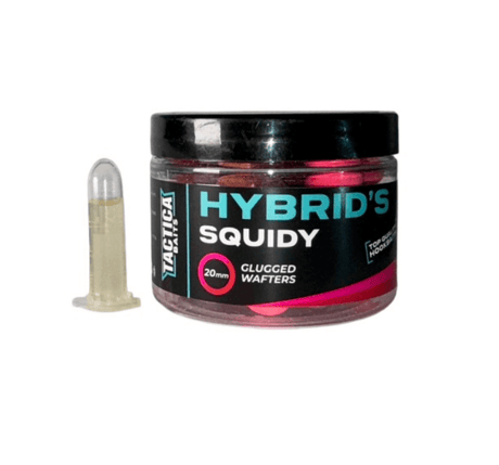 Wafters Tactica Baits Hybrids Squidy 15 mm - Tienda Carpfishing