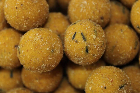 Boilies Pro Elite Baits Gold Sweet Dreams 24 mm - Tienda Carpfishing