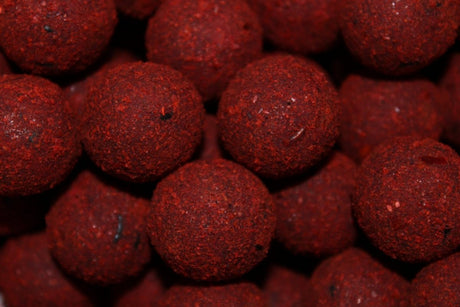 Cubo Pro Elite Baits Boilies Gold Robin Red 5 kg – 20 mm - Tienda Carpfishing