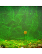 Líquido Korda Goo Dragon's Breath Supreme 115 ml - Tienda Carpfishing