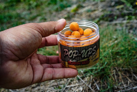 Pop Ups Pro Elite Baits Gold Robin Red 14 mm - Tienda Carpfishing