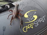 Shrink Wrap Boilie Guard Carp Spirit - Tienda Carpfishing